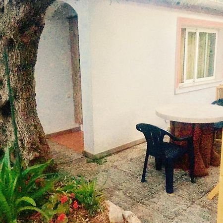 Olive Tree Apartments Rovinj Ngoại thất bức ảnh
