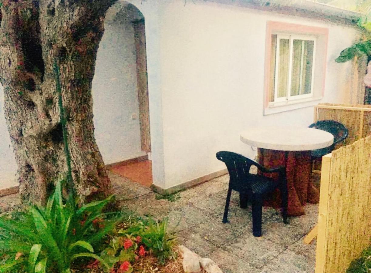 Olive Tree Apartments Rovinj Ngoại thất bức ảnh